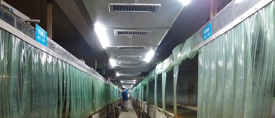 東莞環(huán)?？照{(diào)工程